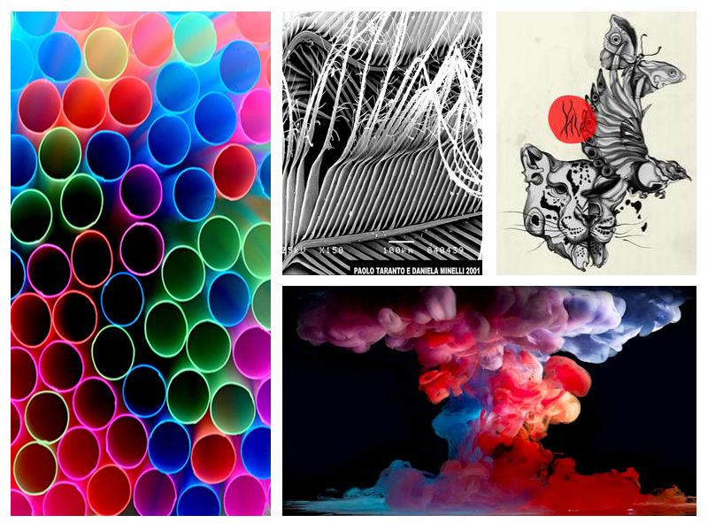 New horizons research 1