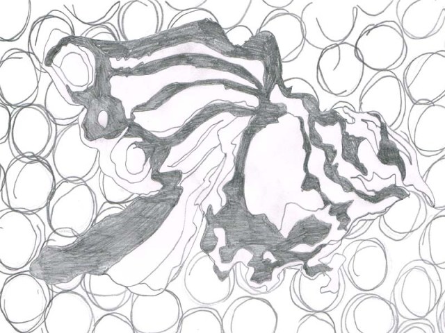 New horizons research 5