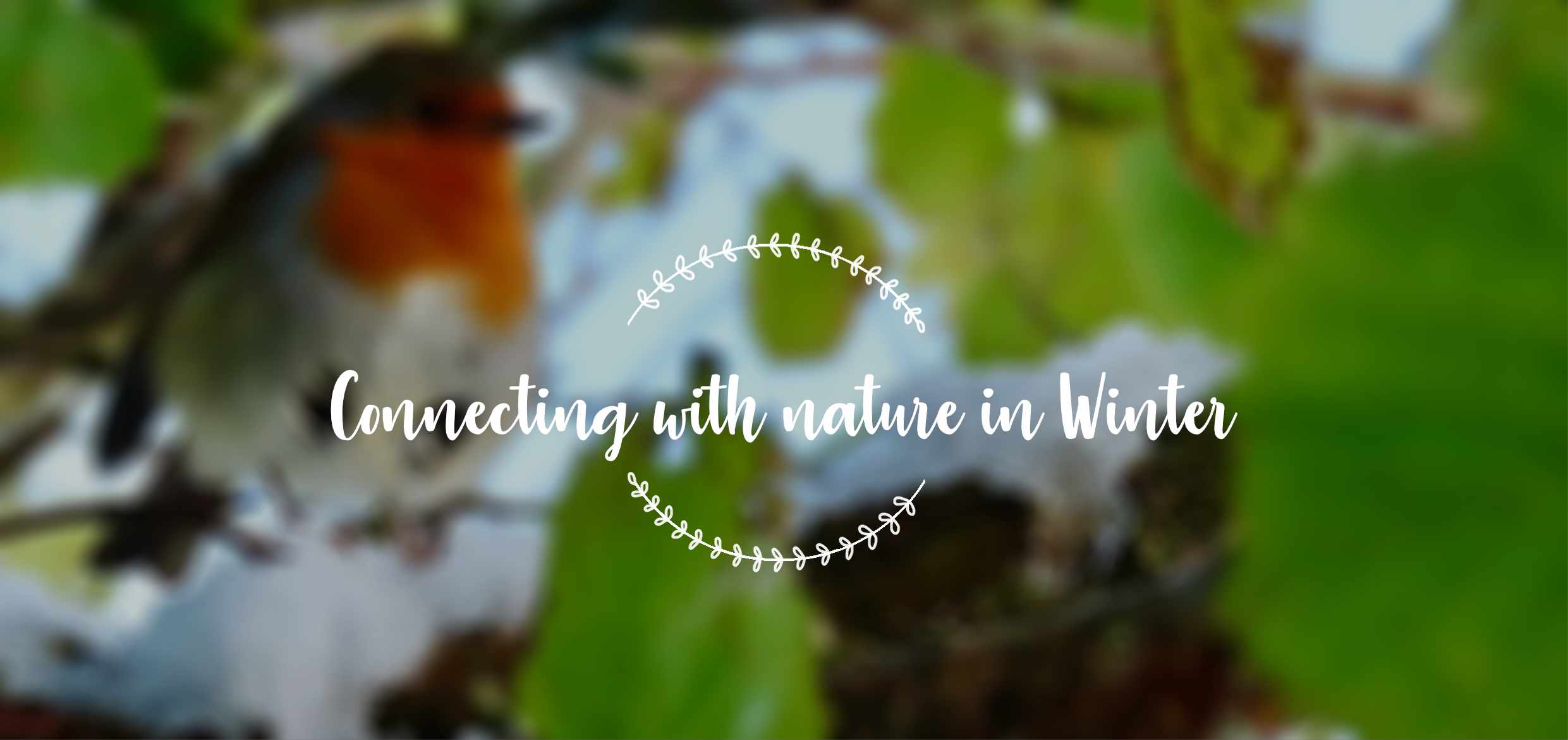 Connecting with nature in winter – ArtyMissK
