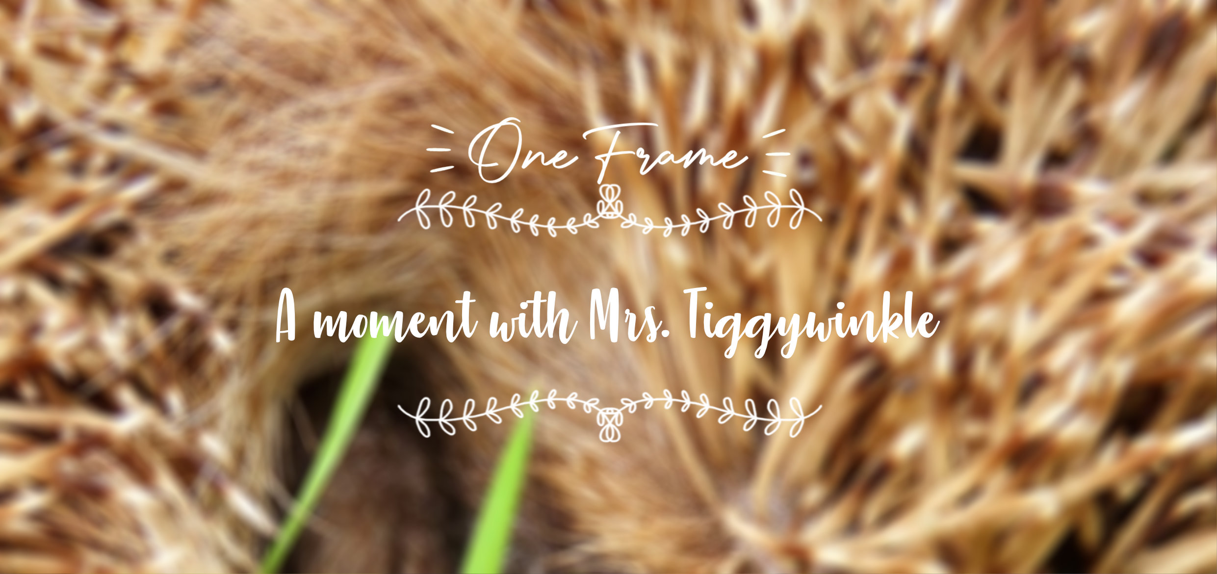 A Moment with Mrs. Tiggy-Winkle {One frame} – ArtyMissK